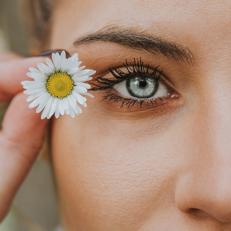 Beauty is Connection